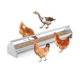 Chicken Feeding Trough with Drainage Holes for Farm